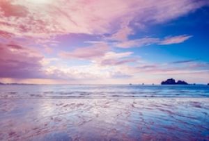 The Necessity Of Choice To Movement - Series 1208