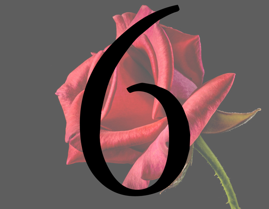 Beyond Sexuality - 6 of 6 Beyond Sexuality - 6 of 6